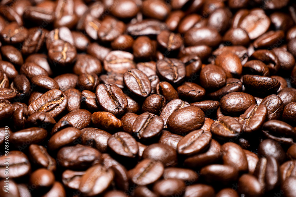 Fototapeta premium Background with many roasted coffee beans,Texture of roasted coffee beans