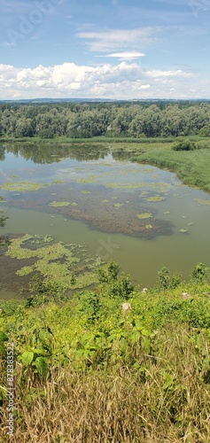 Naturschutzgebiet - Auenlandschaft am Inn photo