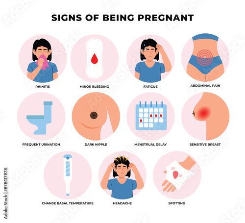 Pregnancy signs and symptoms infographic medical poster education, labeled Morning sickness, mood swings, nausea. Pregnant woman health, Sickness and constipation, appetite change and vomiting.