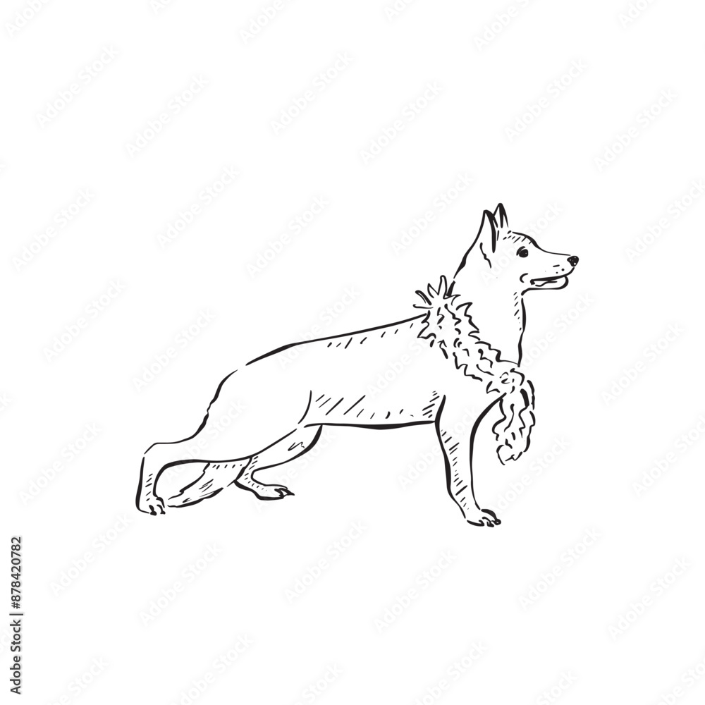 Fototapeta premium A German Shepherd dog wearing a feather boa. Black and white line drawing drawn by hand in a sketch style.