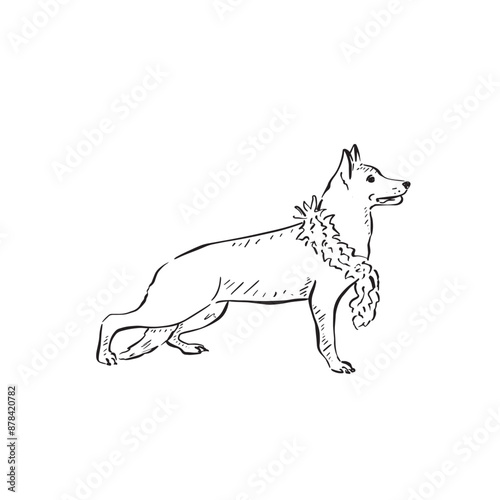 A German Shepherd dog wearing a feather boa. Black and white line drawing drawn by hand in a sketch style.