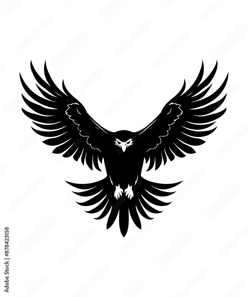 Fototapeta premium Best bold Eagle Silhouettes Images