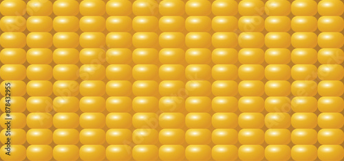 Corn Seeds close up texture vector background