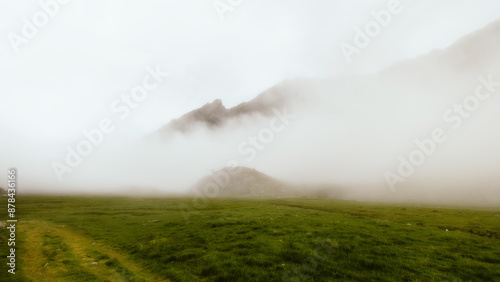 misty morning in the field