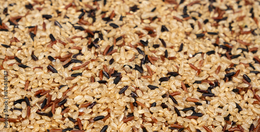 Mix of white, red and black rice, top view, close up