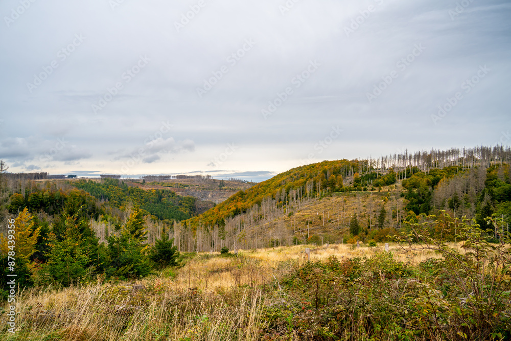 Fototapeta premium Panoramic view over the Harz region, Germany 