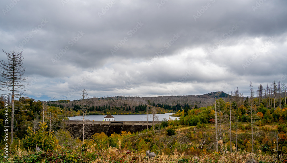 Dam of the artificial Eckertal lake in the Harz region, Germany
Dam of the artificial Eckertal lake in the Harz region, Germany