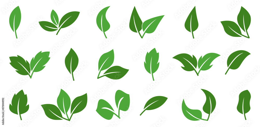 Green leafs. Set of green leaf. Fresh plant leaf collection Green leafs. Set of green leaf. Fresh plant leaf collection