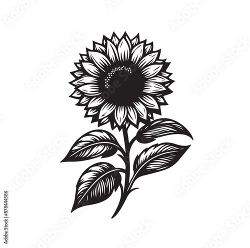 Sunflowers Silhouette vector illustration