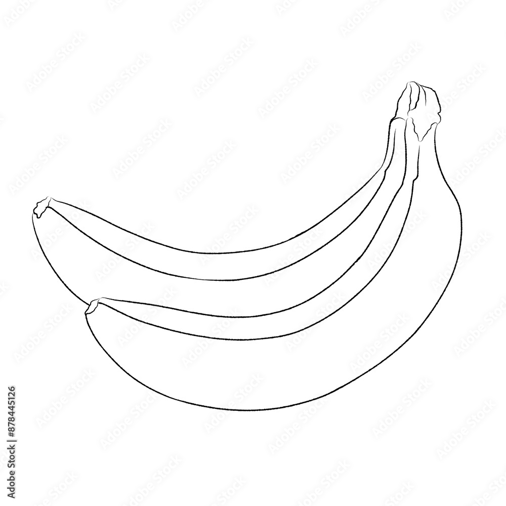 Fruit illustration of yellow banana or (Musa acuminata Cavendish) coloring outline illustration on transparent background Fruit illustration of yellow banana or (Musa acuminata Cavendish) coloring outline illustration on transparent background