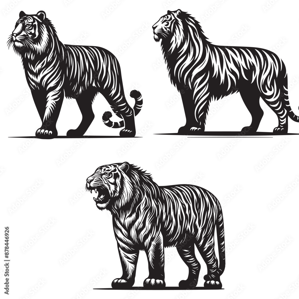 Obraz premium tiger silhouette ,tiger set silhouette face , tiger set silhouette tattoo, tiger silhouette logo ,tiger silhouette png