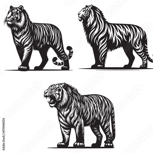 tiger silhouette ,tiger set  silhouette face , tiger set  silhouette tattoo, tiger silhouette logo ,tiger silhouette png