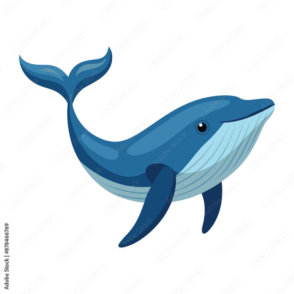 Illustration of whale Isolated on white Illustration of whale Isolated on white