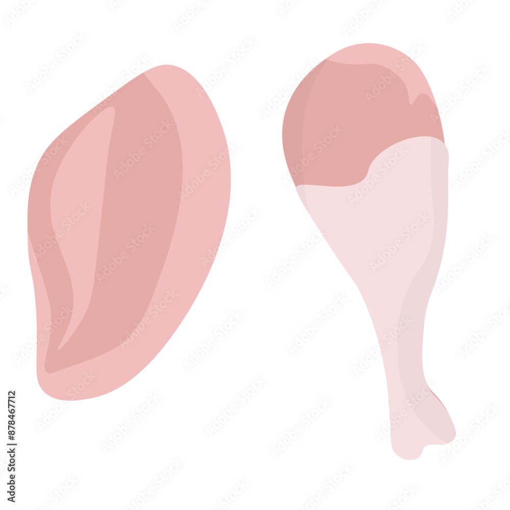 Set of chicken breast and fillet, poultry meat ingredients for cooking Set of chicken breast and fillet, poultry meat ingredients for cooking