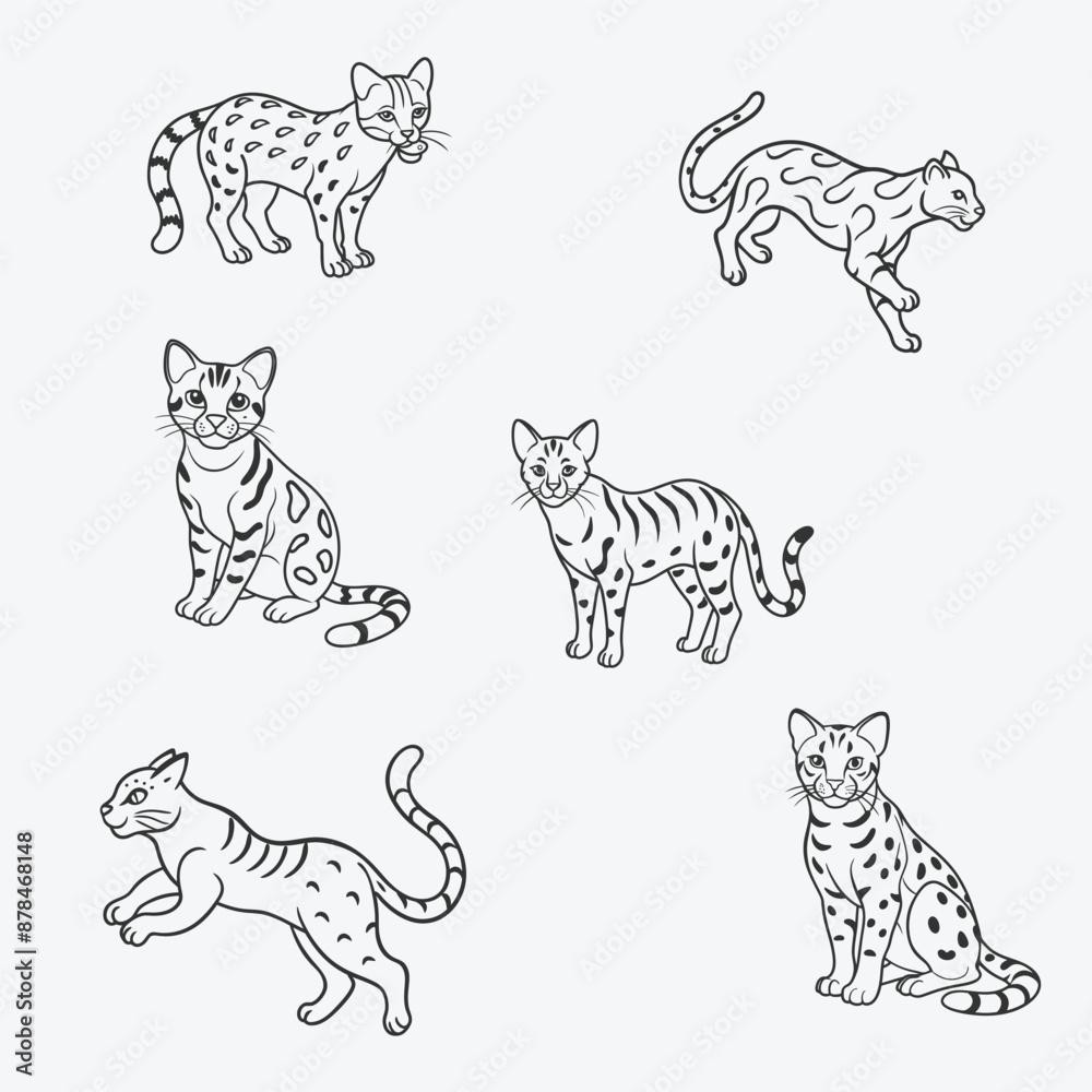 Obraz premium Stunning Ocelot Line Art Vector Set – Perfect for Your Creative Projects white background