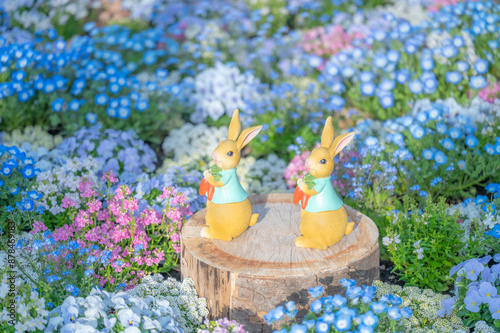 ピーターラビット 花畑
