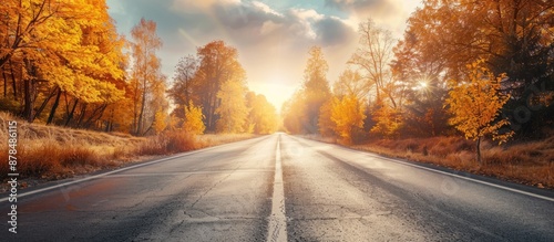 Autumn highway during fall season with beautiful scenic view, perfect for a copy space image.