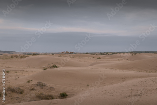 The Badain Jaran Desert is a desert in China, vertical image photo