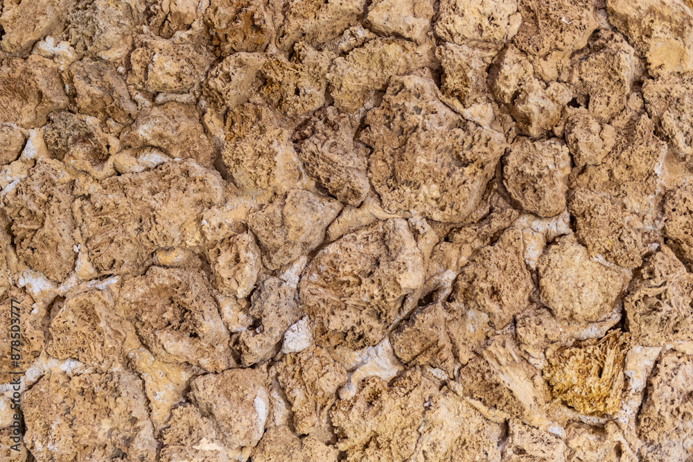 imagen detalle textura piedra blanca muy porosa con grietas imagen detalle textura piedra blanca muy porosa con grietas
