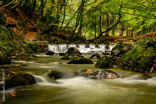 Tollymore Forest Park, Mourne Mountains, Newcastle, Northern Ireland  photo