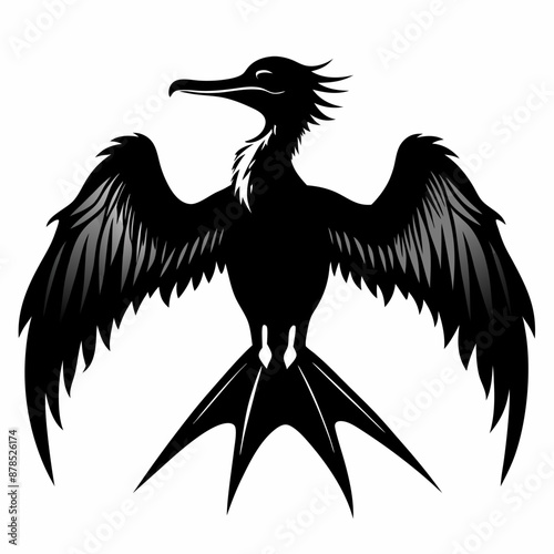 Frigatebird silhouette black