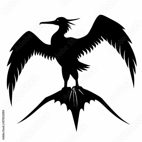 Frigatebird silhouette black