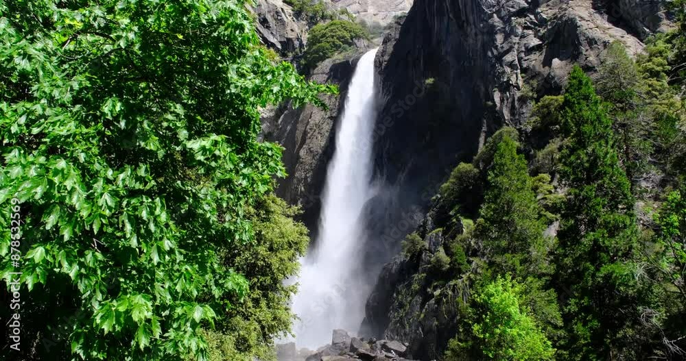 Yosemite Falls waterfall (Upper Yosemite Fall) and green tree in Yosemite National Park in California, USA. Beautiful nature landscape Yosemite Falls waterfall (Upper Yosemite Fall) and green tree in Yosemite National Park in California, USA. Beautiful nature landscape