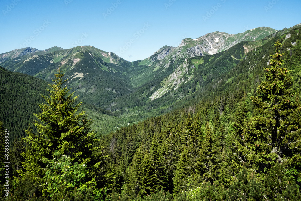 Silent valley, High Tatras mountain, Slovakia Silent valley, High Tatras mountain, Slovakia