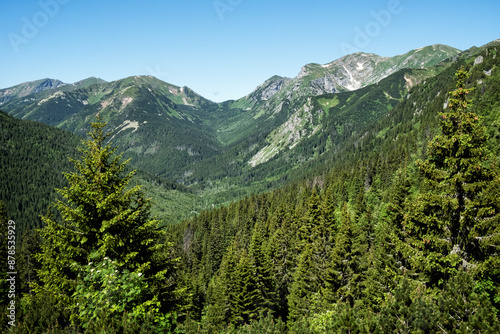 Silent valley, High Tatras mountain, Slovakia