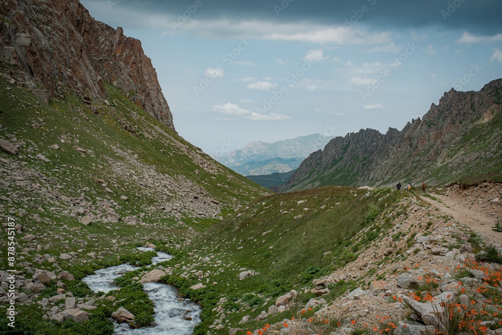 Obraz premium landscape in the summer