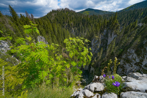 Summer landscape of Cetatile Ponorului in Apuseni National Park, Romania, Europe photo