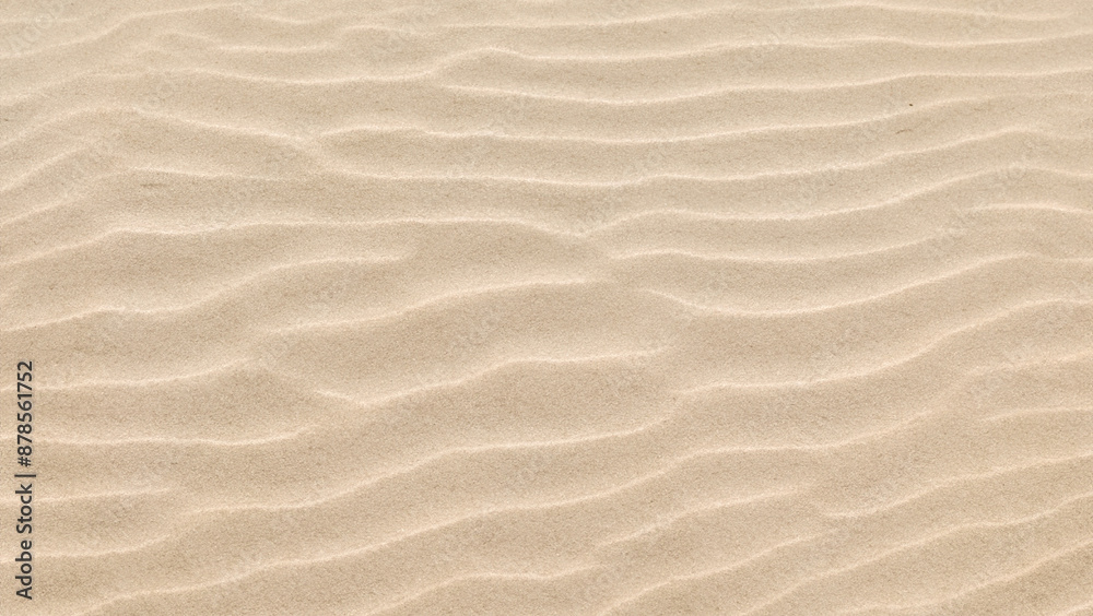 Horizontal Beach Sand Texture with Water and Wind in Background Horizontal Beach Sand Texture with Water and Wind in Background