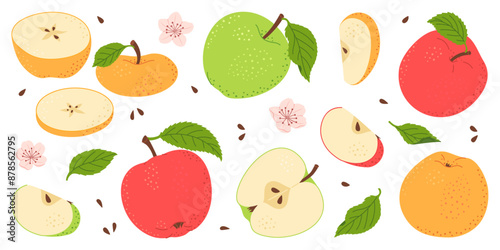 Apple fruit vector set. Whole, half, slice of red green and yellow apple fruit with green leaves and flowers collection. Hand drawn flat style isolated Vector illustration