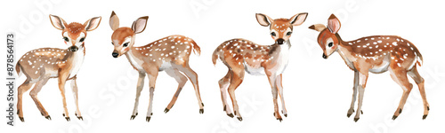 Set collection hand drawn watercolor of cute baby deer isolated on white background design resources elements