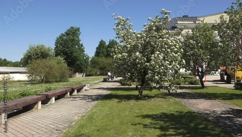 Balvi, Latvia - May 28, 2024 - Video of a park with blossoming trees, benches, and a pathway under a clear blue sky. photo