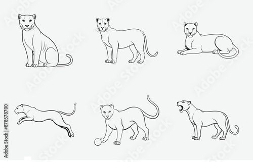 Canvas Print Print Ultimate Panther Line Art Vector Set, High-Quality Illustrations for Desig