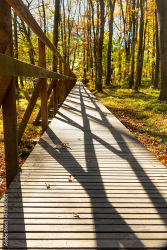 Empty wooden boardwalk in autumn park. Long wooden footbridge over the wetland. Katowice, Silesia, Poland photo