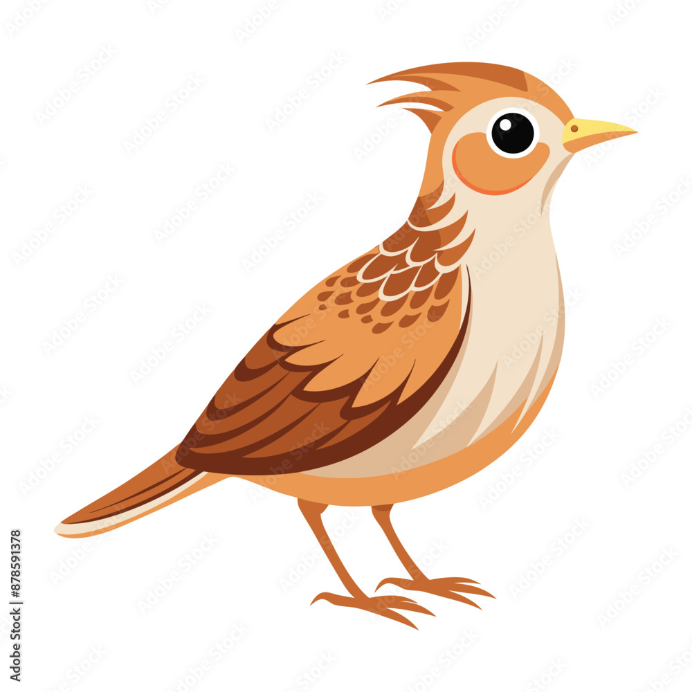 Illustration of cute skylark bird isolated Illustration of cute skylark bird isolated