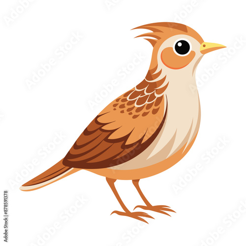 Illustration of cute skylark bird isolated