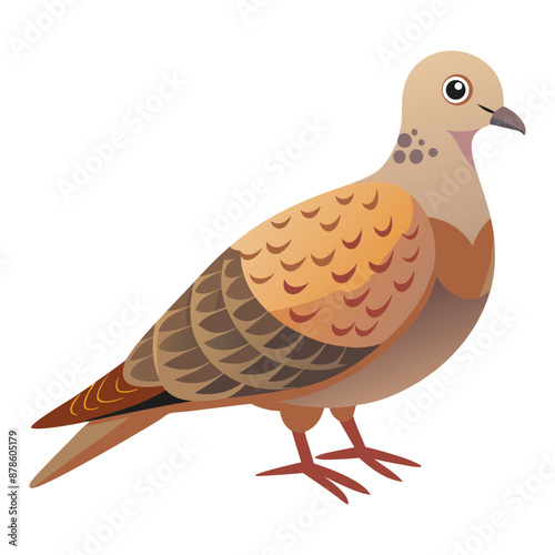 Illustration of cute turtle dove bird isolated