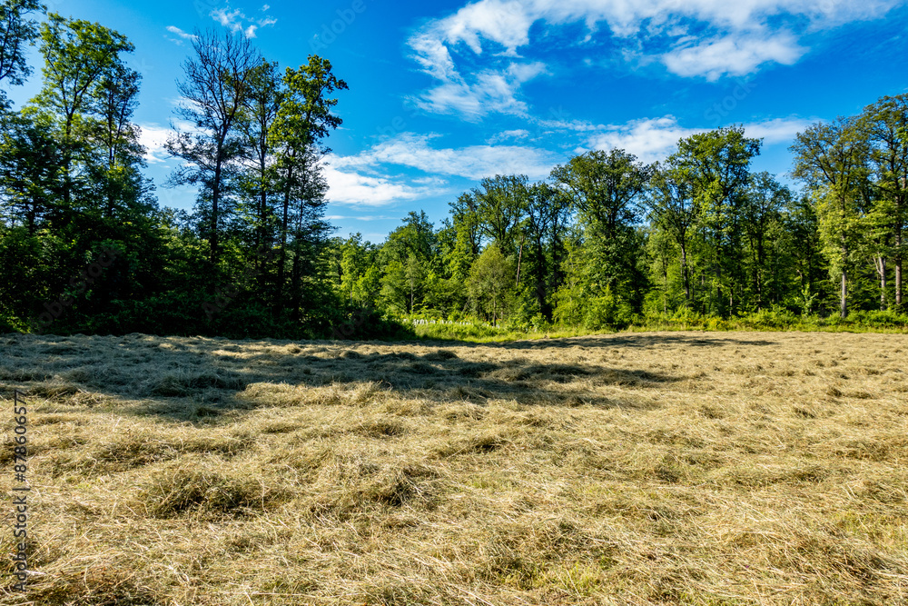 Frisch gemähte große Wiese Frisch gemähte große Wiese