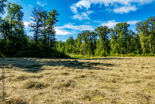 Frisch gemähte große Wiese