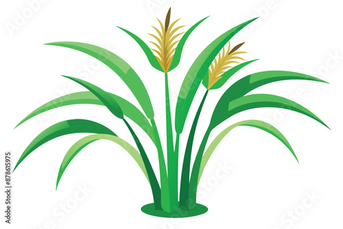 Green Napier grass vector illustration L.eps