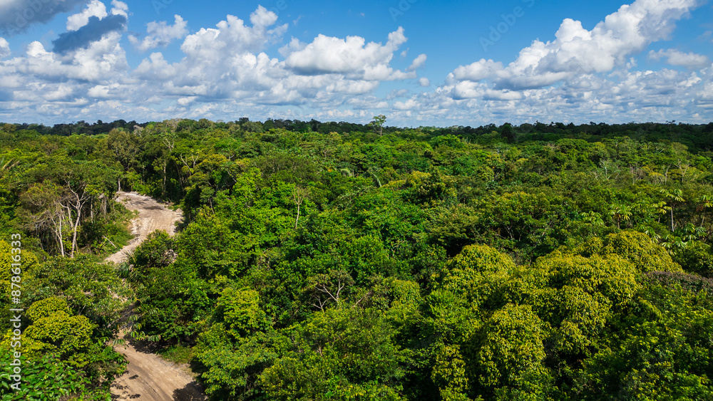 roads in the middle of the Amazon jungle, deforestation and sand extraction for construction is one of the main activities where large hectares of forest are deforested roads in the middle of the Amazon jungle, deforestation and sand extraction for construction is one of the main activities where large hectares of forest are deforested