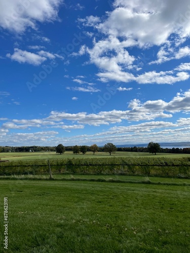 field and blue sky