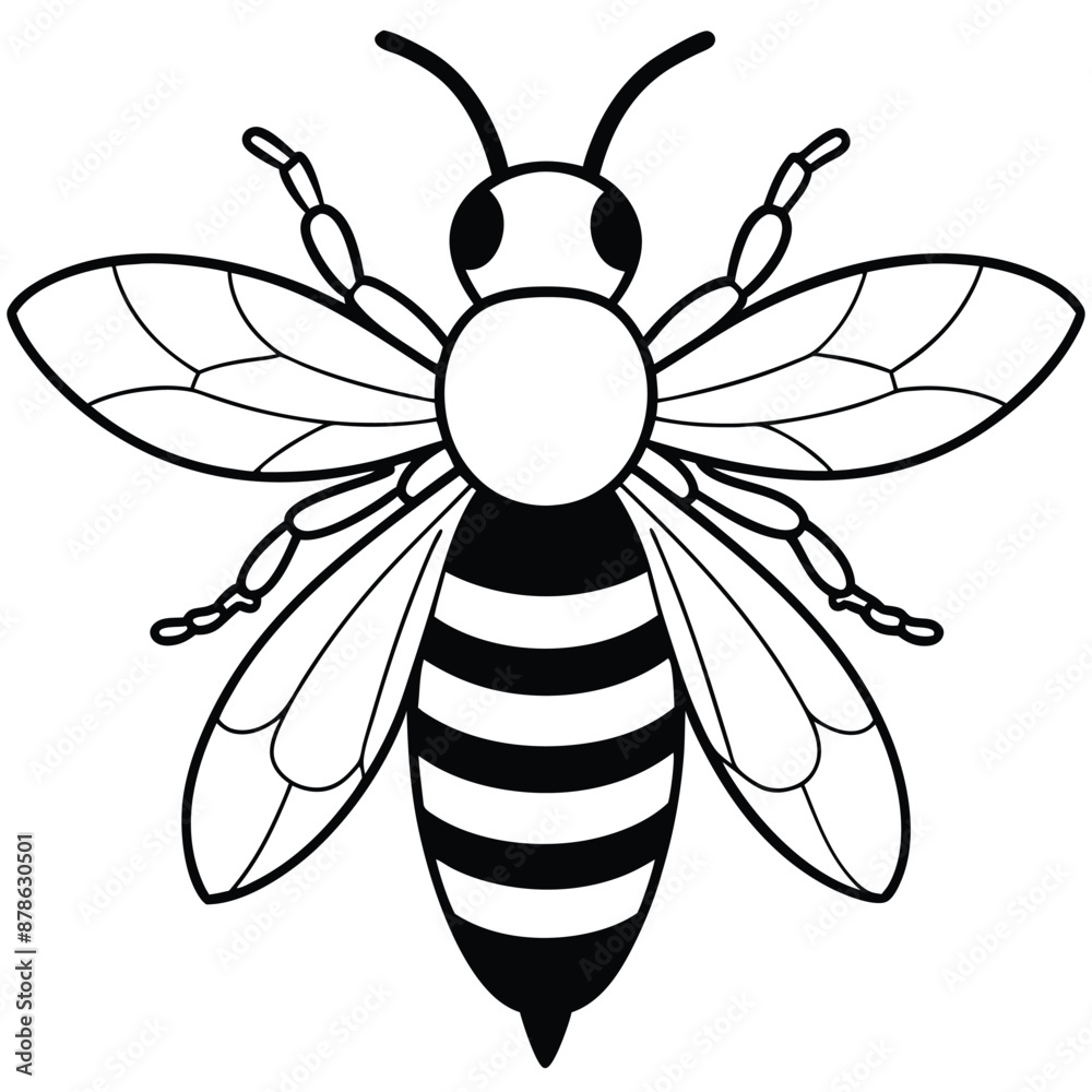 Obraz premium Bee, honey bee isolated on a white background. Naturalistic, scientific, botanical engraved illustration, vector drawing,