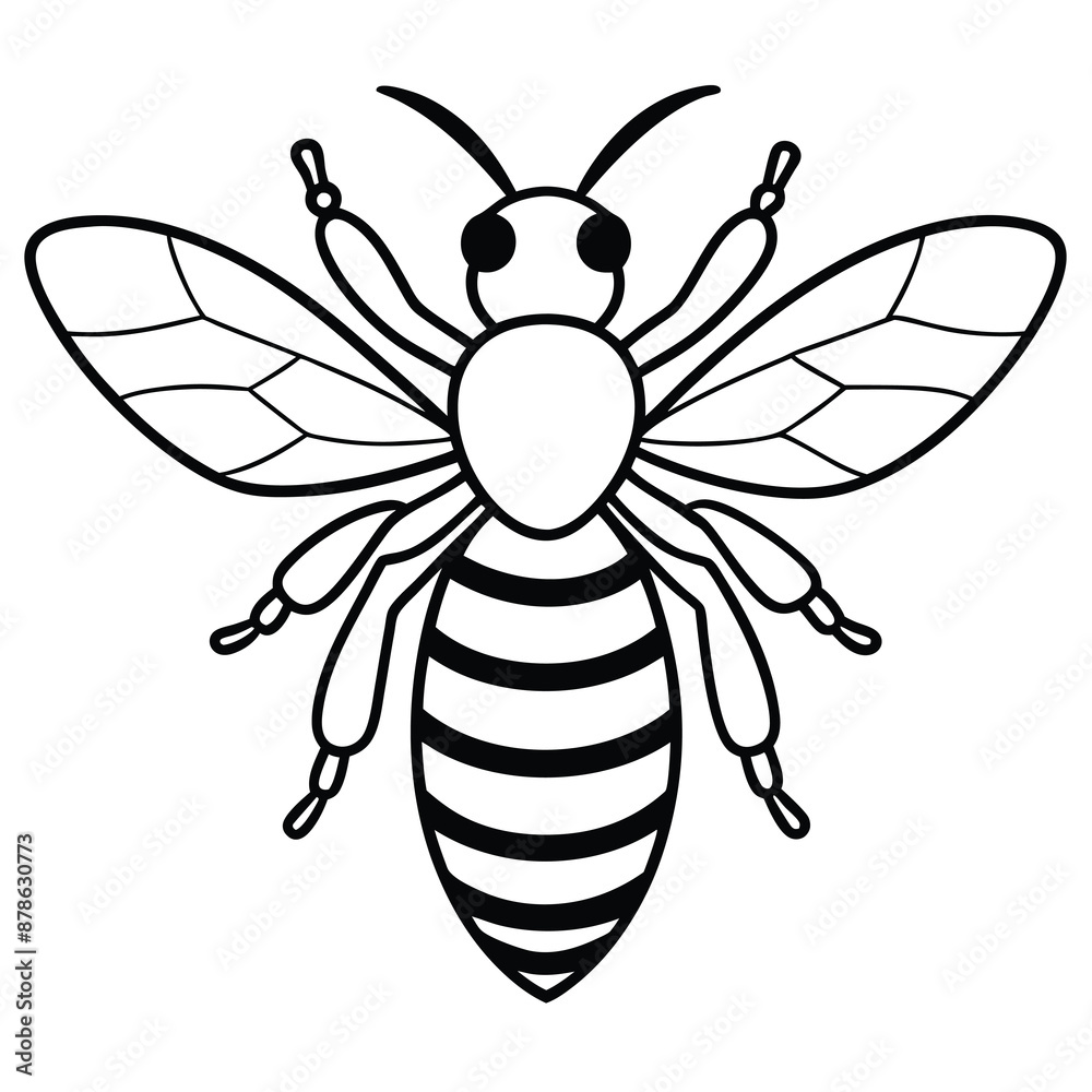Bee, honey bee isolated on a white background. Naturalistic, scientific, botanical engraved illustration, vector drawing, Bee, honey bee isolated on a white background. Naturalistic, scientific, botanical engraved illustration, vector drawing,