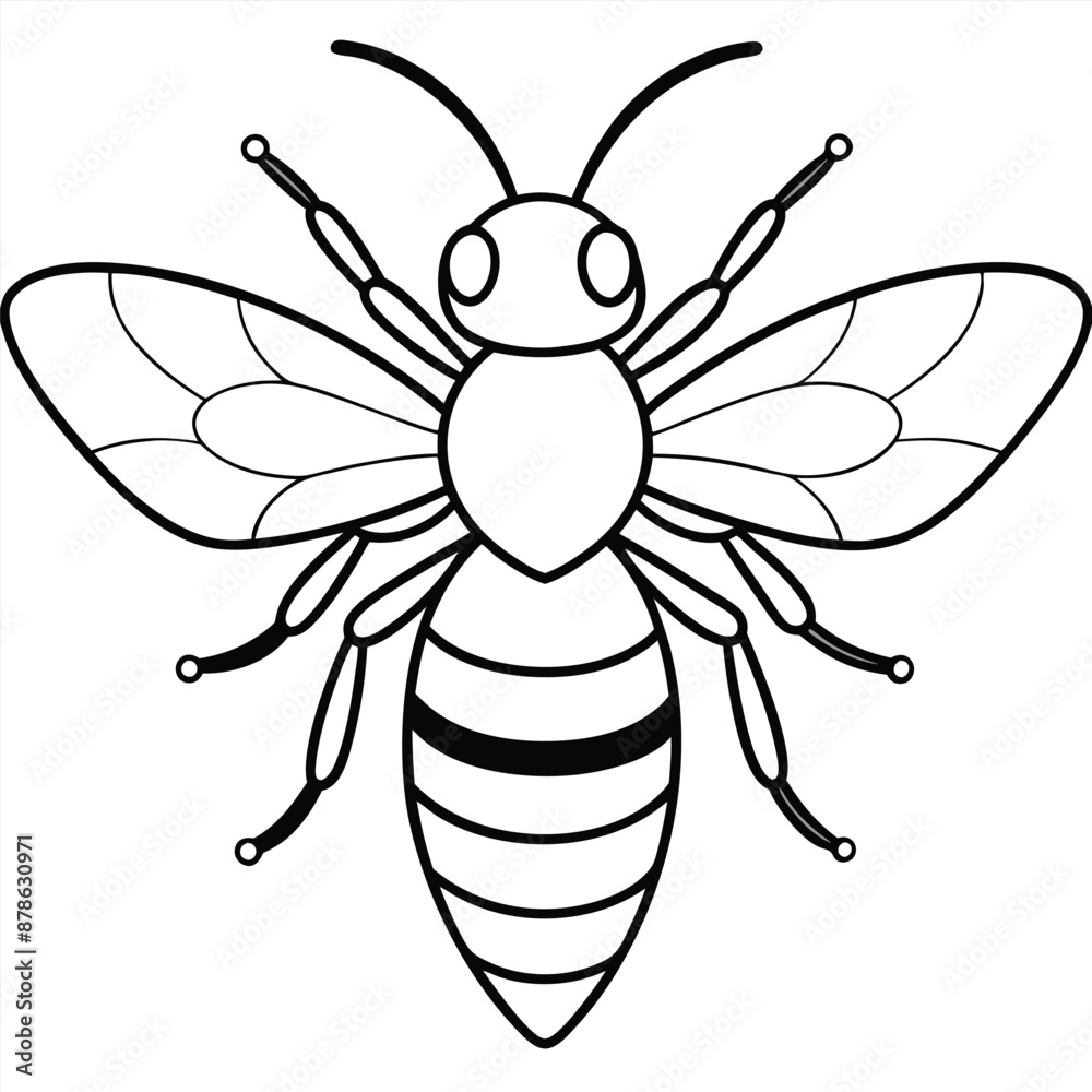 Bee, honey bee isolated on a white background. Naturalistic, scientific, botanical engraved illustration, vector drawing, Bee, honey bee isolated on a white background. Naturalistic, scientific, botanical engraved illustration, vector drawing,