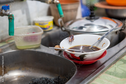 A cockroach wants to eat leftover food in a bowl photo