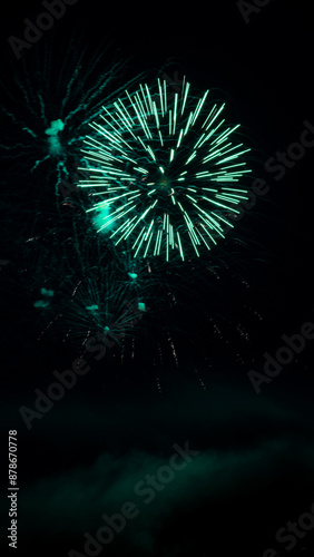 fireworks in the night sky #04 with copy space